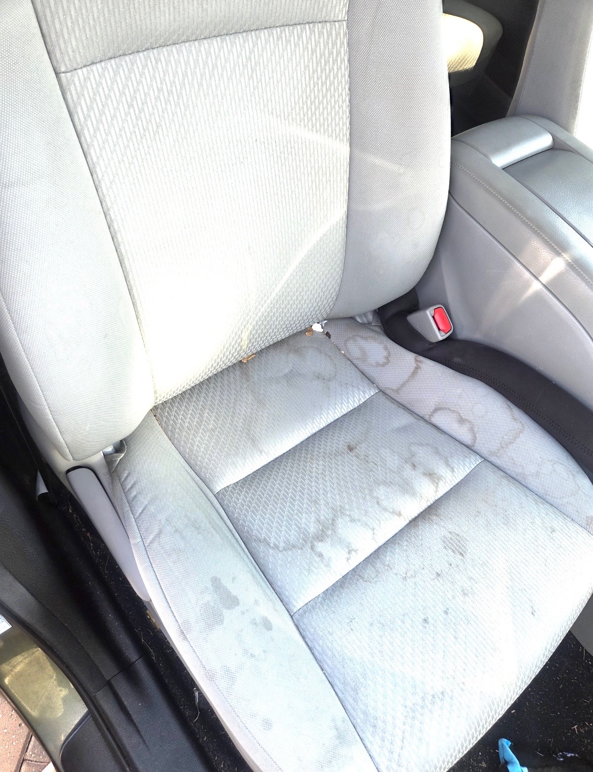 Interior deep clean — before